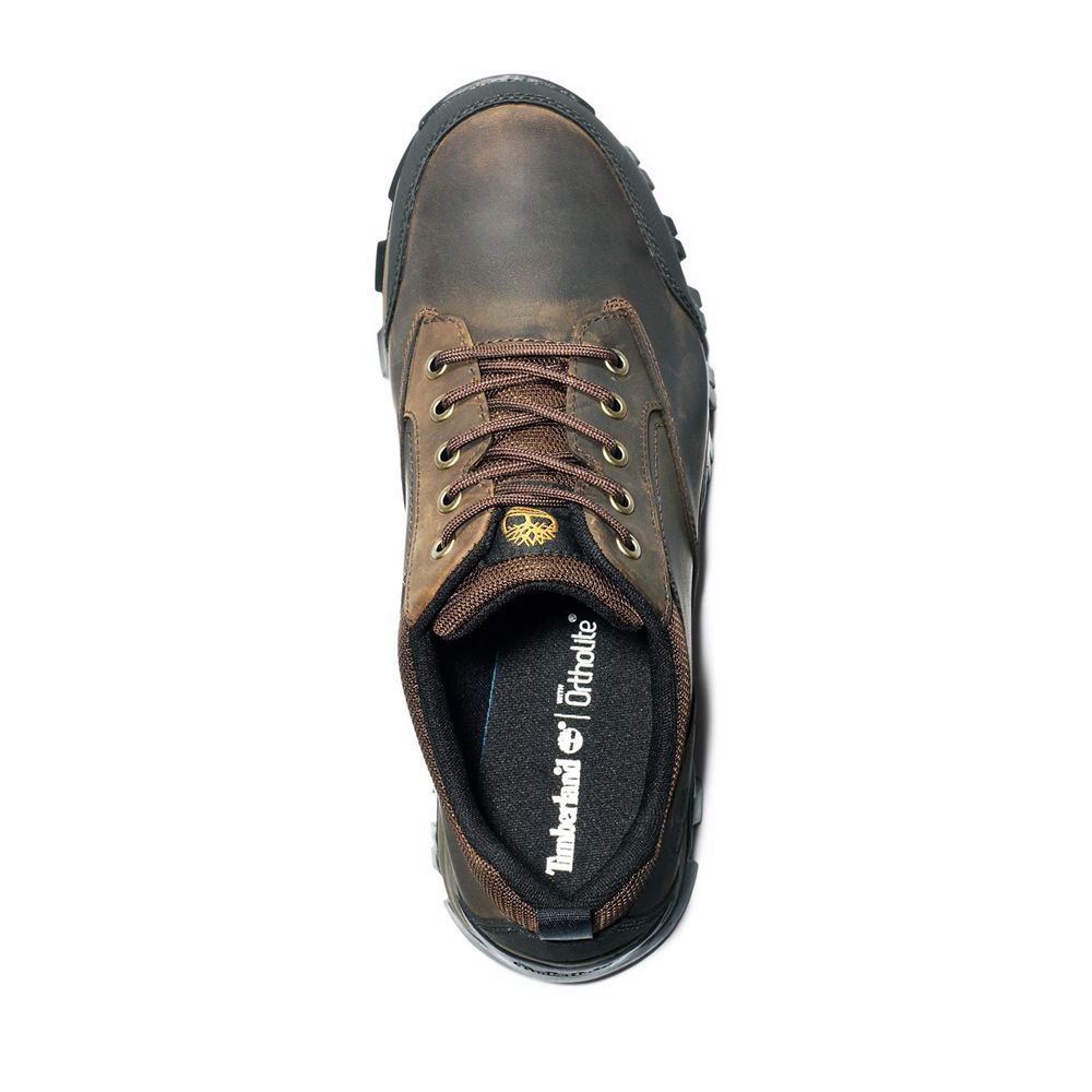 Zapatos de Montaña Timberland Argentina Hombre - Keele Ridge Waterproof - Marrones - NEYAKU-039